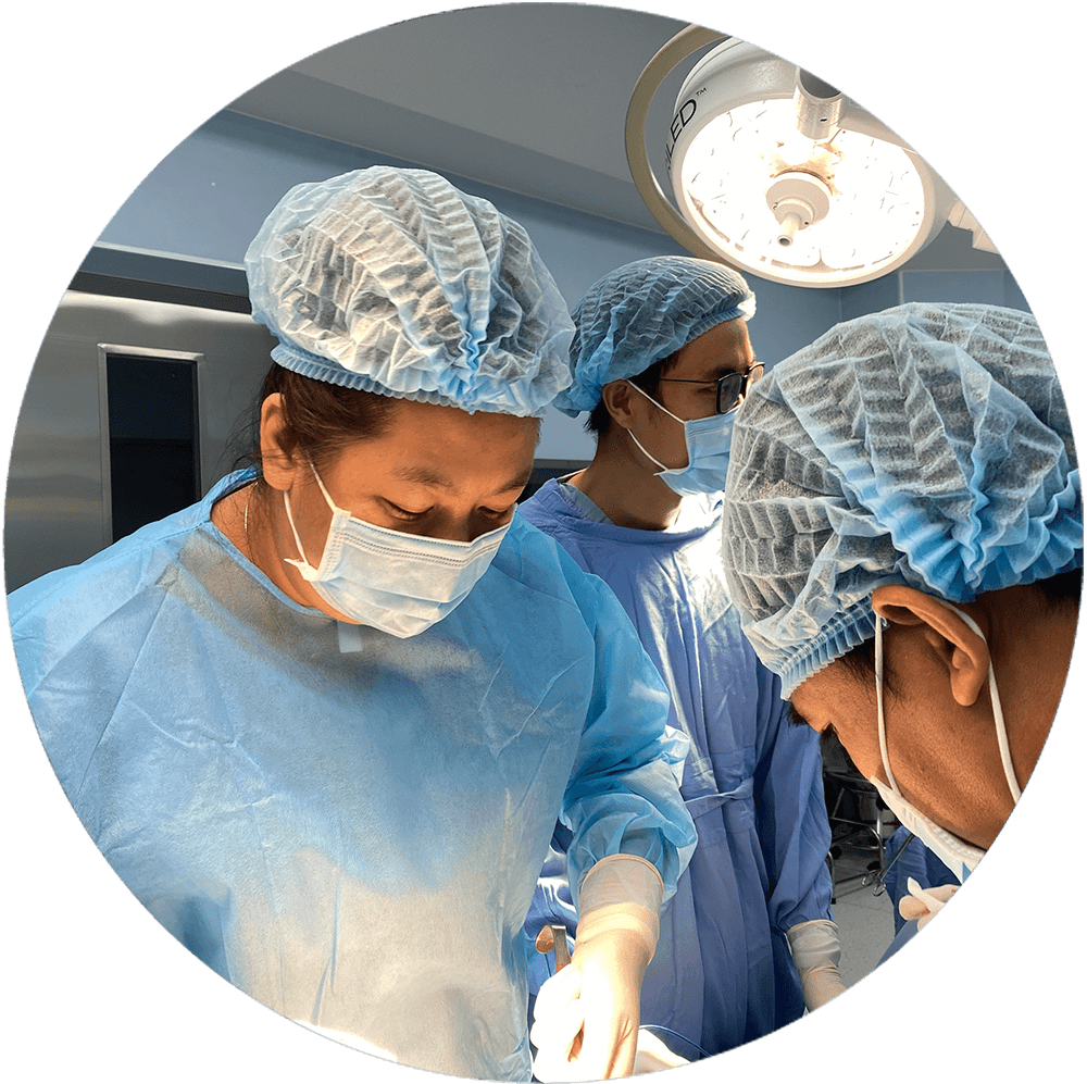 Biological cartilage rhinoplasty