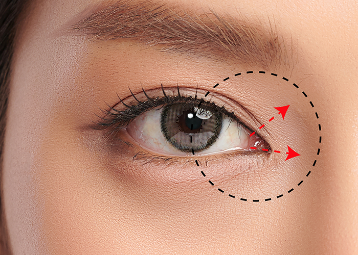 EYELID ELITE 5.0 eye cosmetics