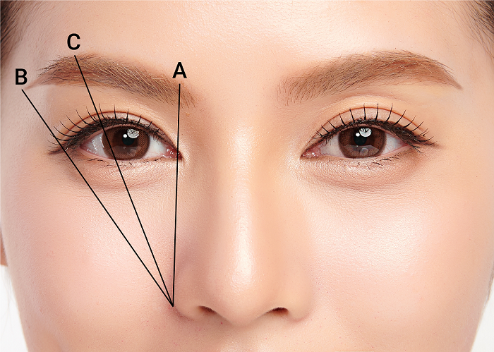 EYELID ELITE 5.0 eye cosmetics